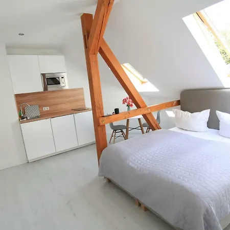 Zollikof Aparts - Sauna & Studioapartments Leipzig